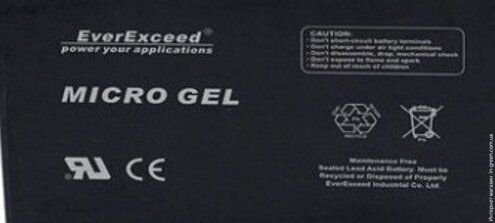 Аккумулятор EverExceed MG 6-12G