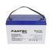 Акумуляторна батарея PANTEC 100-12 GEL 12V 100Ah Фото 2 з 2