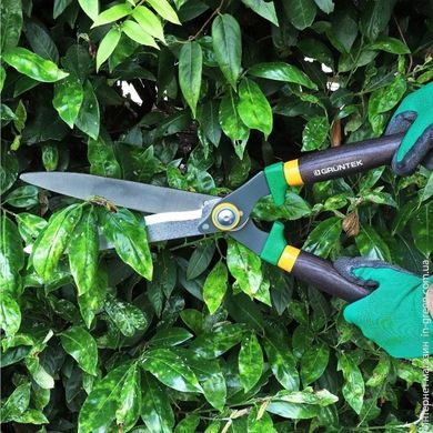 Ножницы для живой изгороди GRUNTEK Panthera 295304530 (640 мм)