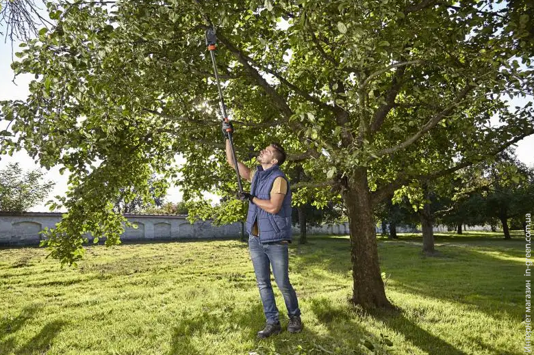 Висоторіз для зелених гілок GARDENA StarCut 160 plus (12000-20)