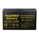 Аккумулятор NetPRO GP 12-100S (12V / 100Ah C20) Фото 1 из 3