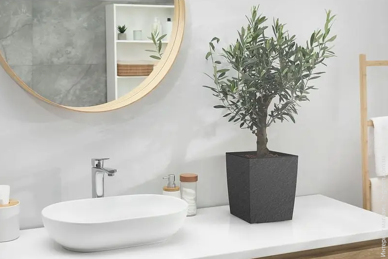Горщик для квітів Plastkon ELIOT Stone 30x30 см антрацит