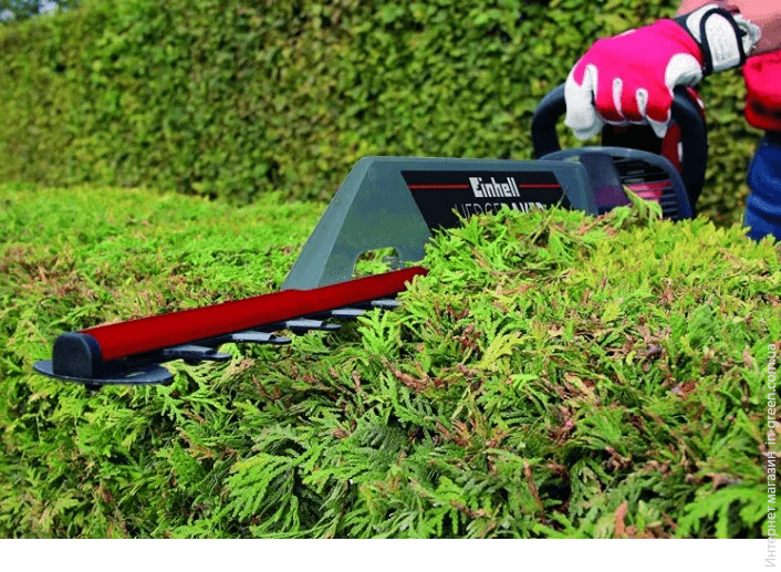 Кусторез EINHELL GC-EH 6055/1