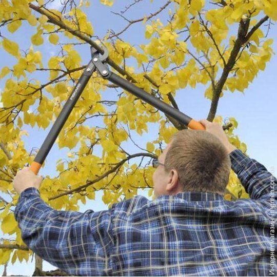 Плоскостной Віткоріз FISKARS c силовым приводом II с загнутыми лезвиями (112590)