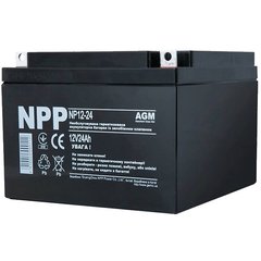 Аккумуляторная батарея Npp NP12-24