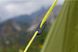 Палатка VANGO Soul 100 Treetops (TERSOUL T15077) Фото 10 из 11