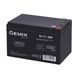 Аккумуляторная батарея Gemix GB1212 (GB1212F2) Фото 2 из 3