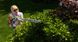 Комби-насадка ножницы HONDA SSHH SE Фото 10 из 10