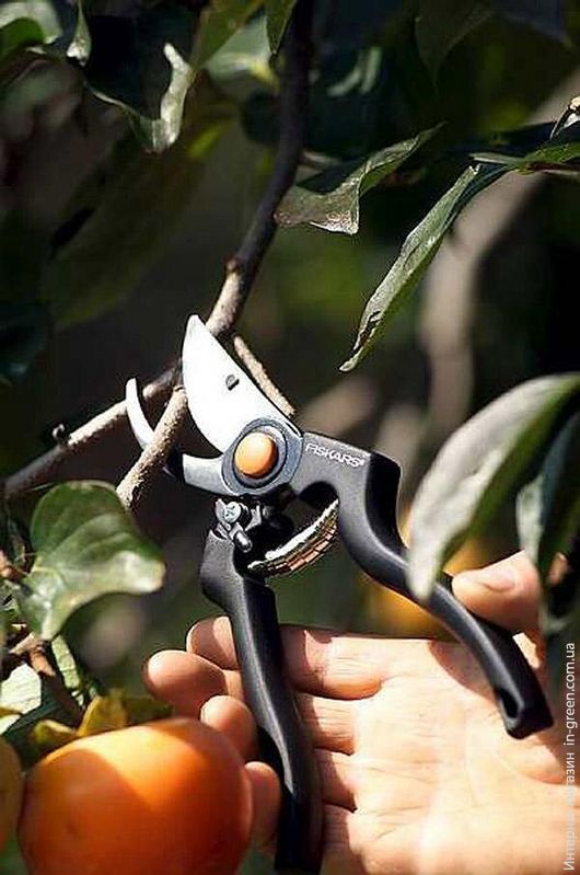 Секатор FISKARS P90