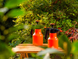 Опрыскиватель ручной Claber 2 л (80810000) Фото 4 из 8