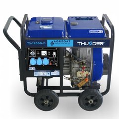 Дизельний генератор THUNDER TS-12000-D
