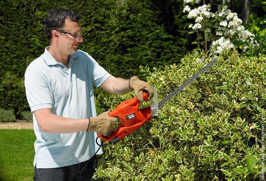 кусторіз BLACK&DECKER GT4245