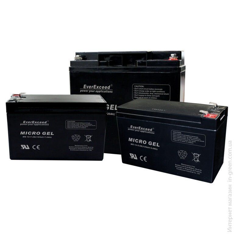 Аккумуляторная батарея EVEREXCEED MG 6-12G