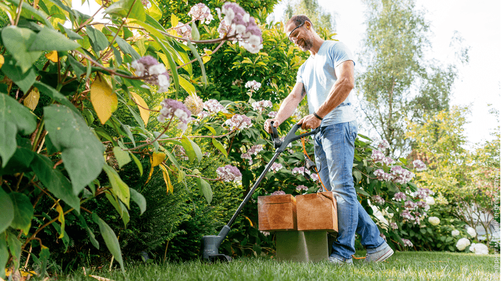 Триммер садовый BOSCH EasyGrassCut 18-230 (06008C1A00)