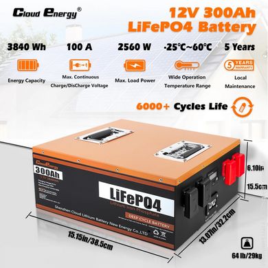 Аккумулятор LiFePO4 Cloud Energy CL12-300