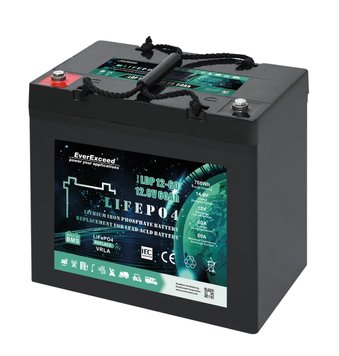 Аккумулятор LiFePO4 EverExceed LDP 12-60 (12.8V60AH) BLUETOOTH