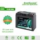 Аккумулятор LiFePO4 EverExceed LDP 12-60 (12.8V60AH) BLUETOOTH Фото 5 из 9