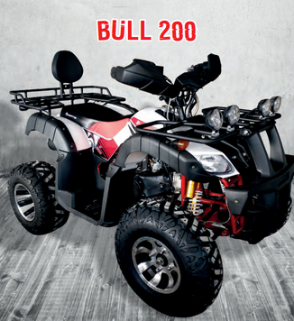 Квадроцикл FORTE BULL 200