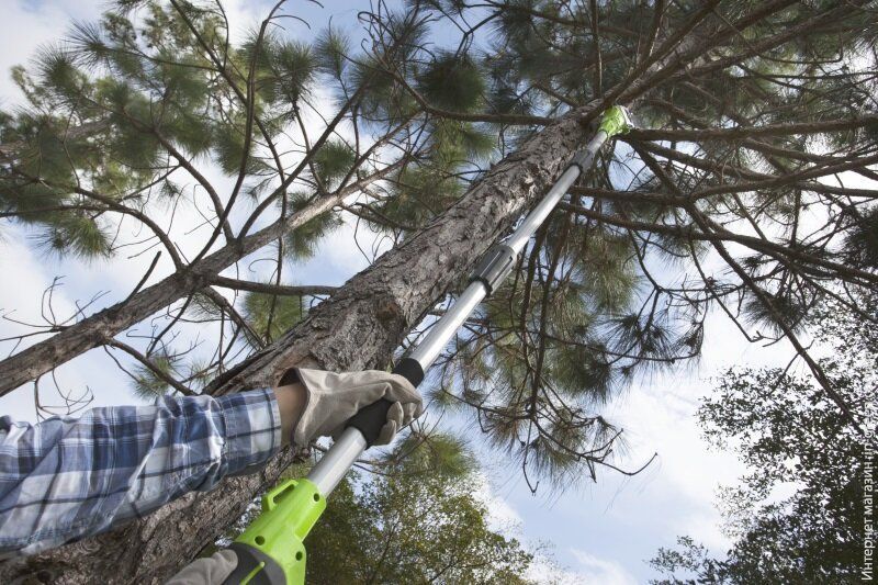 Висоторіз-гілкоріз акумуляторний Greenworks G40PS20 без АКБ і ЗУ