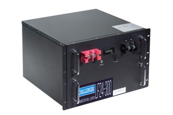 Аккумуляторная батарея CHALLENGER LF24-300