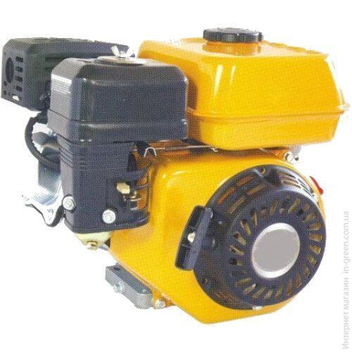 Двигатель FORTE F200G