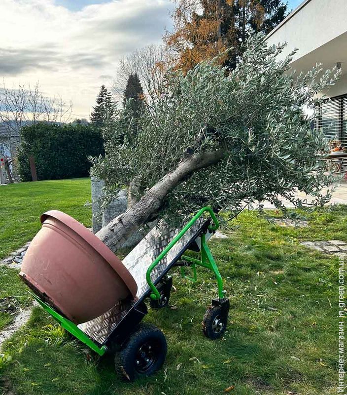 Електричний візок ZIPPER ZI-ET260