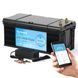 Аккумулятор Kepworth LiFePO4 24V/100AH (2400W*h) Bluetooth Фото 9 из 10