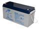 Акумуляторна батарея GEL RITAR DG12-150 Gray Case 12V 150Ah Фото 2 з 2
