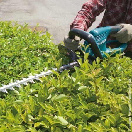 Кусторез MAKITA UH5570