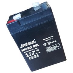 Акумуляторна батарея EVEREXCEED MG 6-4.5G