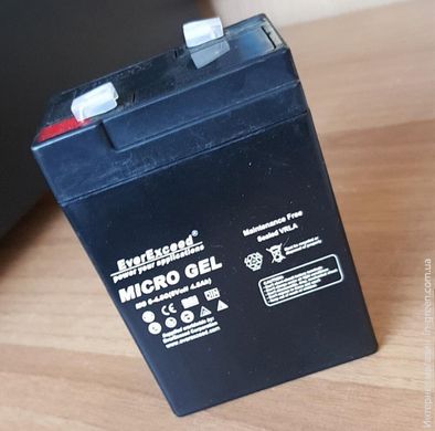 Акумуляторна батарея EVEREXCEED MG 6-4.5G