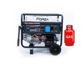 Генератор FORZA FPG8800E