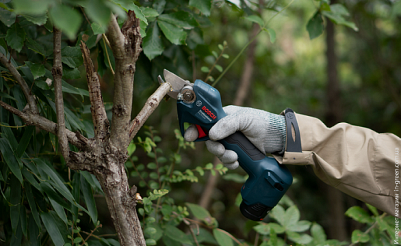 Акумуляторний секатор Bosch Professional Pro Pruner (06019K1021)