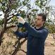 Акумуляторний секатор Bosch Professional Pro Pruner (06019K1021) Фото 6 з 7