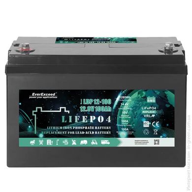 Аккумулятор LiFePO4 EverExceed LDP 12-100