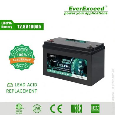 Аккумулятор LiFePO4 EverExceed LDP 12-100