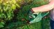 Кущоріз акумуляторний Bosch EasyHedgeCut 18-45 без АКБ та ЗП (0600849H03) Фото 5 з 7