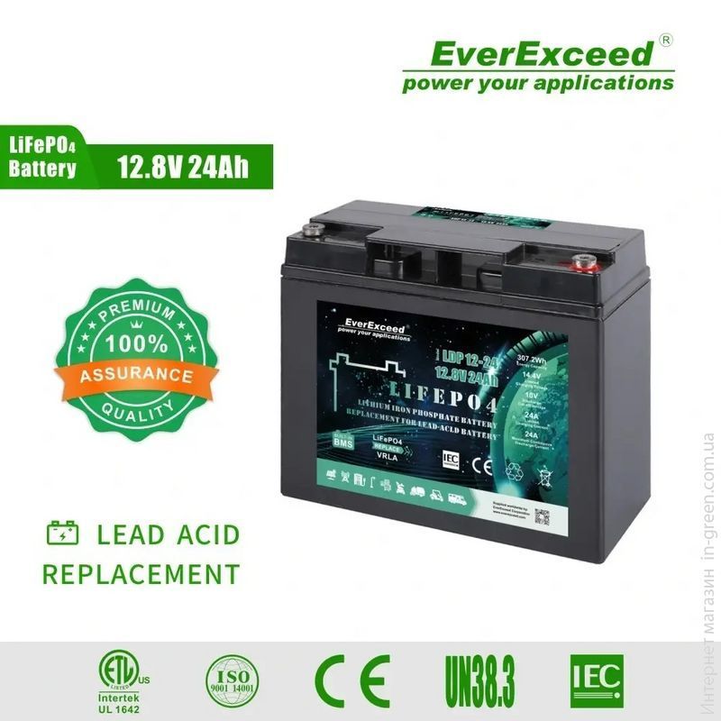 Аккумулятор LiFePO4 EverExceed LDP 12-60