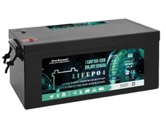 Акумулятор LiFePO4 EverExceed LDP 24-120