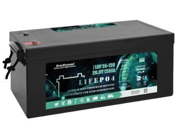 Аккумулятор LiFePO4 EverExceed LDP 24-120