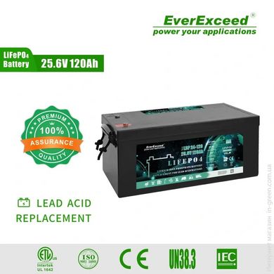 Аккумулятор LiFePO4 EverExceed LDP 24-120